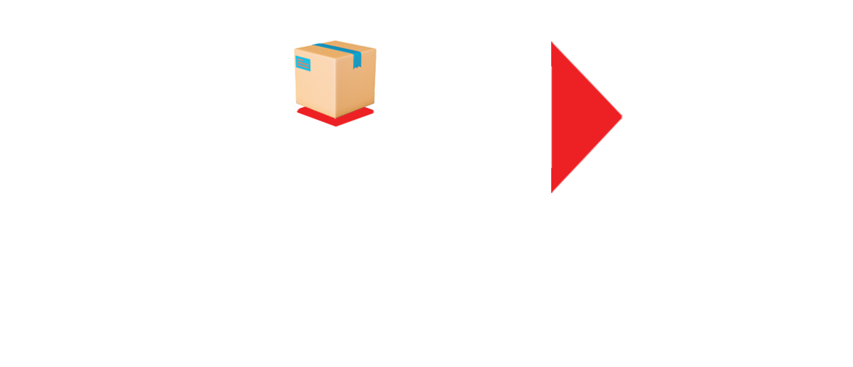 Disty Logo